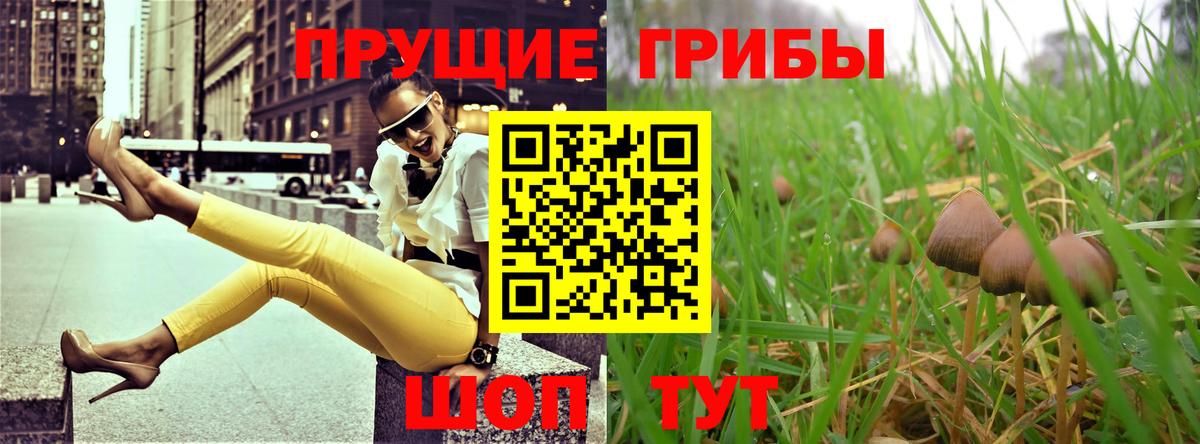 Галлюциногенные грибы ЛСД  Вход с VPN  Алексеевка 
