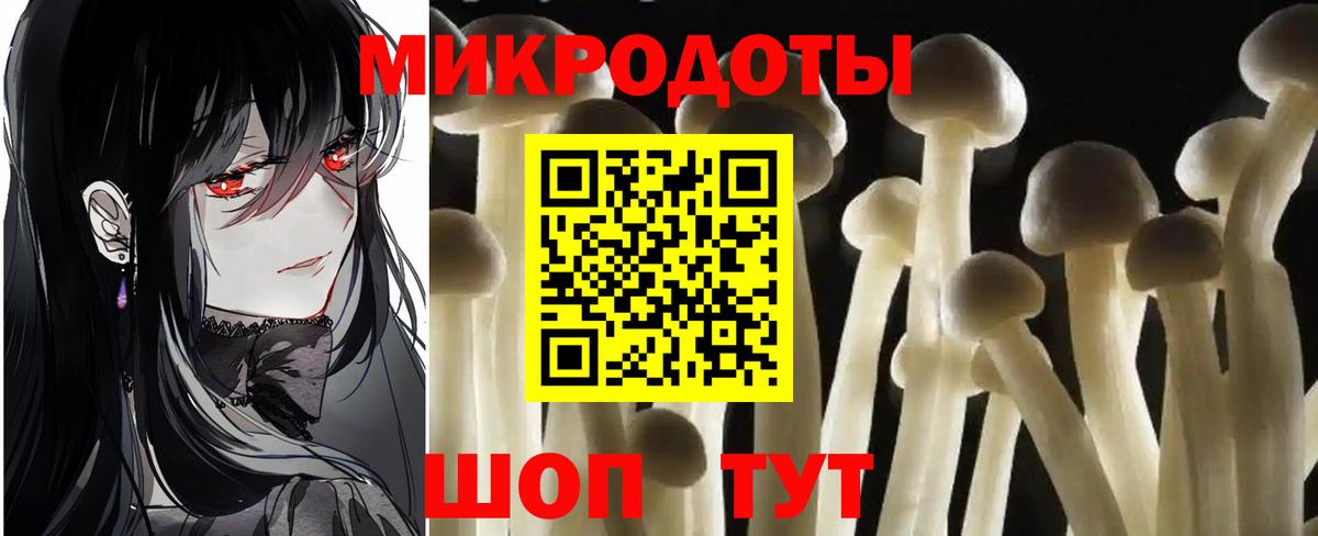 Галлюциногенные грибы Psilocybe Алексеевка